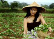 Buka Mata! Arti Mimpi Melihat Banyak Wanita Cantik : Pertanda Baik atau Buruk? Kuak Misterinya!