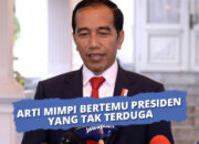 Kenali Arti Mimpi Ketemu Presiden Jokowi : Ini Penjelasannya