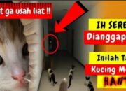 Buka Mata! Arti Mimpi Bisa Melihat Hantu Temukan Makna Rahasianya Disini
