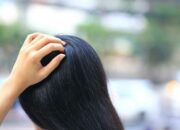 Kenali Arti Mimpi Punya Kutu Rambut  yang Perlu Diketahui