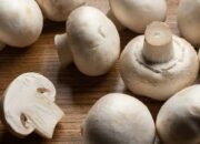 Kenali Arti Mimpi Mendapat Jamur Putih : Pertanda Baik atau Buruk? Kuak Misterinya!