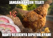 Misteri Terungkap: Arti Mimpi Dipatok Ayam : Pertanda Baik atau Buruk? Kuak Misterinya!