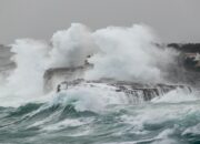 Simak! Arti Mimpi Melihat Ombak Besar Seperti Tsunami Temukan Makna Rahasianya Disini