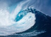 Simak! Arti Mimpi Tsunami Tapi Selamat  yang Perlu Diketahui