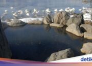 Simak! Arti Mimpi Mandi Bersama Lawan Jenis : Pertanda Baik atau Buruk? Kuak Misterinya!