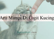 Buka Mata! Arti Mimpi Di Gigit Kucing  yang Perlu Diketahui