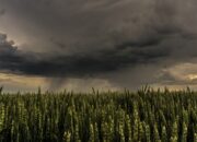 Buka Mata! Arti Mimpi Hari Kiamat : Ini Penjelasannya