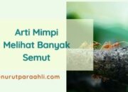 Simak! Arti Mimpi Melihat Semut Banyak : Pertanda Baik atau Buruk? Kuak Misterinya!