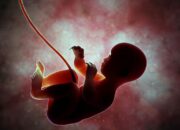 Kenali Arti Mimpi Melihat Bayi Dalam Kandungan Sendiri  yang Perlu Diketahui