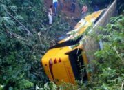 Misteri Terungkap: Arti Mimpi Masuk Jurang Temukan Makna Rahasianya Disini