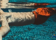 Penafsiran Unik: Arti Mimpi Berenang Di Air Jernih : Pertanda Baik atau Buruk? Kuak Misterinya!