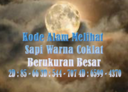 Wah, Arti Mimpi Melihat Sapi Warna Coklat Temukan Makna Rahasianya Disini