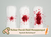 Wah, Arti Mimpi Keluar Darah Haid Temukan Makna Rahasianya Disini