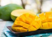 Wah, Arti Mimpi Makan Buah Mangga Ternyata Ini Artinya Menurut Pakar