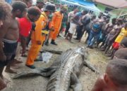 Buka Mata! Arti Mimpi Membunuh Buaya Temukan Makna Rahasianya Disini