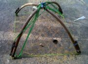 Arti Mimpi Menangkap Kepiting : Ini Penjelasannya