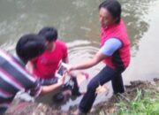 Misteri Terungkap: Arti Mimpi Anak Tenggelam Temukan Makna Rahasianya Disini