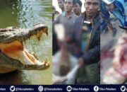 Tabir Terbuka:Rahasia Tersembunyi: Arti Mimpi Dimakan Buaya  yang Perlu Diketahui