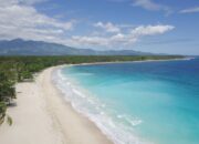 Misteri Terungkap: Arti Mimpi Mati Temukan Makna Rahasianya Disini