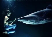 Simak! Arti Mimpi Digigit Ikan Temukan Makna Rahasianya Disini