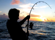 Simak! Arti Mimpi Mancing Dapat Ikan Banyak : Pertanda Baik atau Buruk? Kuak Misterinya!