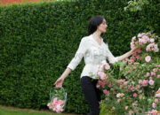 Tabir Terbuka:Rahasia Tersembunyi: Arti Mimpi Memetik Bunga Ternyata Ini Artinya Menurut Pakar