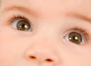 Misteri Terungkap: Arti Mimpi Melihat Bayi Baru Lahir Ternyata Ini Artinya Menurut Pakar