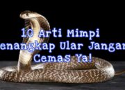 Wah, Arti Mimpi Bunuh Ular Ternyata Ini Artinya Menurut Pakar