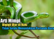 Kenali Arti Mimpi Digigit Ular Di Kaki : Ini Penjelasannya