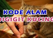 Kenali Arti Mimpi Digigit Kucing : Ini Penjelasannya