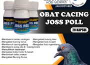 Misteri Terungkap: Arti Mimpi Menangkap Burung Merpati Ternyata Ini Artinya Menurut Pakar