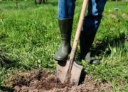 Wah, Arti Mimpi Menggali Tanah  yang Perlu Diketahui