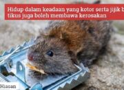 Tabir Terbuka:Rahasia Tersembunyi: Arti Mimpi Membunuh Tikus : Pertanda Baik atau Buruk? Kuak Misterinya!