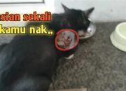 Kisah di Balik Arti Mimpi Di Bacok Orang  yang Perlu Diketahui