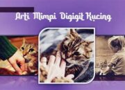 Penafsiran Unik: Arti Mimpi Digigit Kucing Di Kaki Temukan Makna Rahasianya Disini