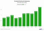 Wah, Arti Mimpi Melihat Durian Banyak Temukan Makna Rahasianya Disini