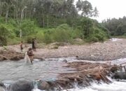 Simak! Arti Mimpi Menangkap Ikan Di Sungai : Pertanda Baik atau Buruk? Kuak Misterinya!