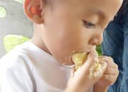 Simak! Arti Mimpi Makan Durian Dalam Islam Ternyata Ini Artinya Menurut Pakar