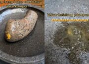 Simak! Arti Mimpi Keluar Belatung Dari Tangan : Pertanda Baik atau Buruk? Kuak Misterinya!