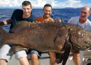 Misteri Terungkap: Arti Mimpi Mancing Ikan Besar Ternyata Ini Artinya Menurut Pakar