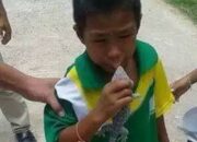Simak! Arti Mimpi Digigit Tokek Menurut Islam : Pertanda Baik atau Buruk? Kuak Misterinya!