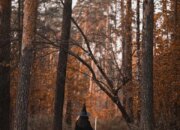 Simak! Arti Mimpi Dikejar Orang Yang Tidak Dikenal Temukan Makna Rahasianya Disini