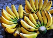 Buka Mata! Arti Mimpi Beli Pisang : Ini Penjelasannya