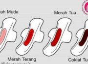 Wah, Arti Mimpi Keluar Darah Saat Hamil  yang Perlu Diketahui