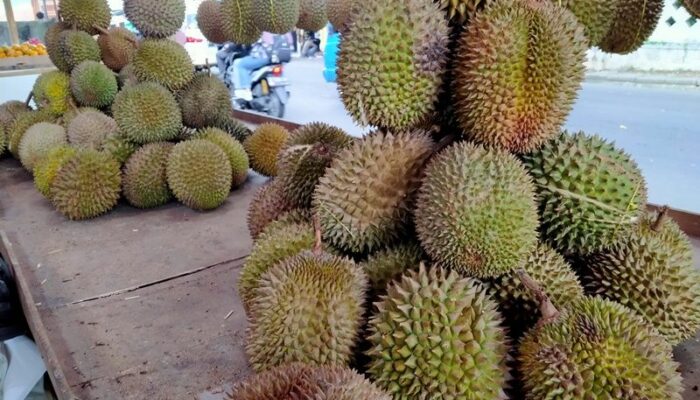 Wah, Arti Mimpi Makan Durian Hambar : Pertanda Baik atau Buruk? Kuak Misterinya!