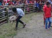 Tabir Terbuka:Rahasia Tersembunyi: Arti Mimpi Menangkap Babi Temukan Makna Rahasianya Disini