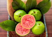 Buka Mata! Arti Mimpi Memetik Buah Jambu : Pertanda Baik atau Buruk? Kuak Misterinya!