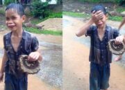 Kenali Arti Mimpi Disengat Lebah Di Wajah : Ini Penjelasannya