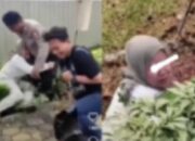 Misteri Terungkap: Arti Mimpi Didekati Anjing  yang Perlu Diketahui