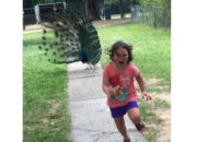 Kisah di Balik Arti Mimpi Lari Ketakutan : Ini Penjelasannya